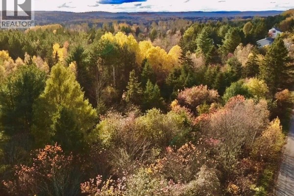 Satellite map showing property lines and surrounding forested areas. - 73 Tavener Terrace, Picadilly