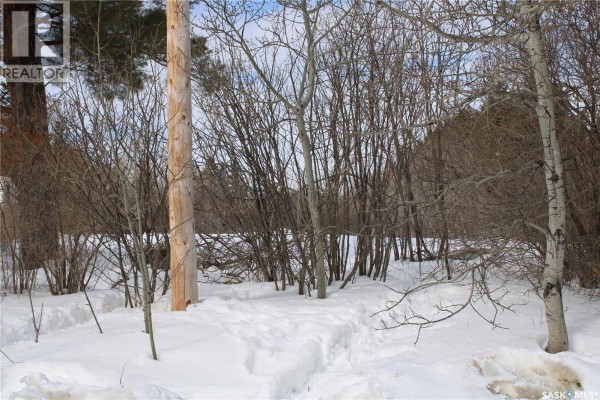 730 Broadway Street W, Orkney Rm No  244, SK, photo 2