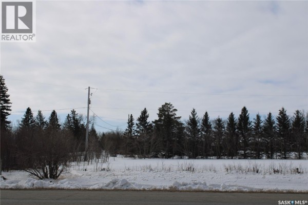 730 Broadway Street W, Orkney Rm No  244, SK, photo 3