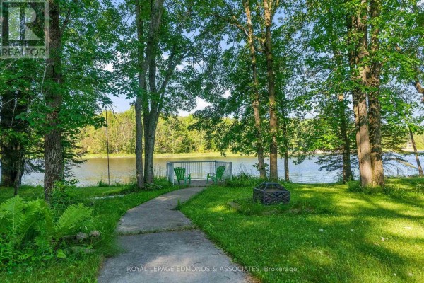 Living room - 731 Francie Lane, Laurentian Valley, ON K8A6W2 Photo 3
