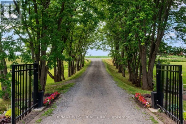 Wooden footbridge over a small creek, surrounded by green grass and mature trees. Gravel driveway and cars are in the background. - 7324 Highway 9 Road S, New Tecumseth
