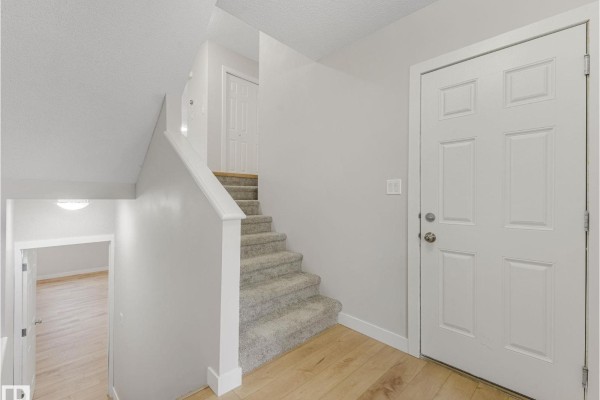 Primary Bedroom - 7327 24 Av Sw, Edmonton, AB T6X0V5 Photo 4