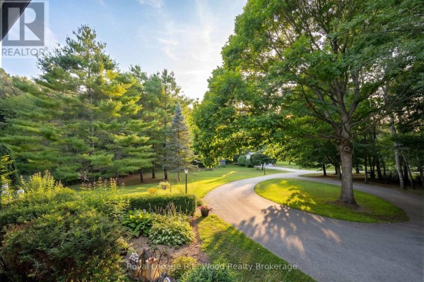 Curving driveway leading to the house, surrounded by mature trees and landscaping. - 7335 Pack Road, London South
