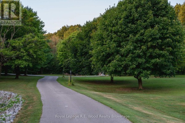 Asphalt driveway winds through a grassy lawn with large, mature trees on the right. - 7335 Pack Road, London South
