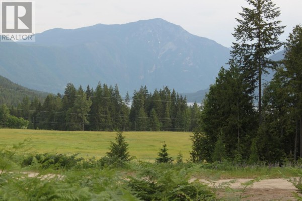 736 Bartley Road, Nakusp, BC, photo 2