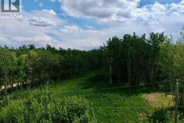 74, 50226 Range Road 204, Rural Beaver County, AB T0B4A0 Photo 5