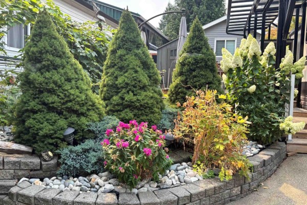 74 14600 Morris Valley Road, Mission, BC V0M1A1 Photo 5