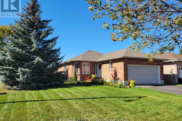 Living room - 74 Buchanan Street, Barrie, ON L4M6B7 Photo 2