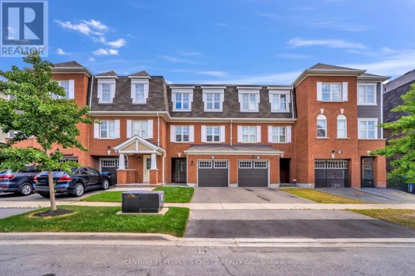 Kitchen - 74 Metro Crescent, Brampton, ON L7A4P1 Photo 2