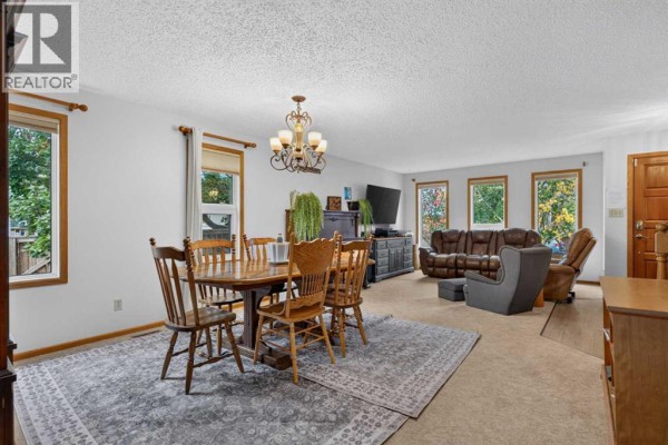 Primary Bedroom - 740 3 Avenue Se, Three Hills, AB T0M2A0 Photo 4