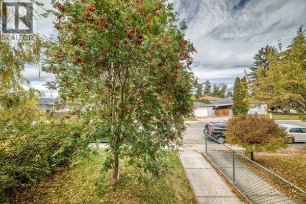 View from a window of a street with cars and houses across the road. - 7409 37 Avenue Nw, Calgary