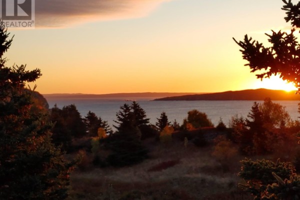 742-744 Water Street, Bay Roberts, NL A0A1G0 Photo 4