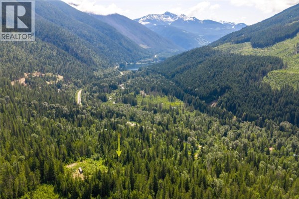 7455 19 Mile Road, Revelstoke, BC V0E2S0 Photo 2