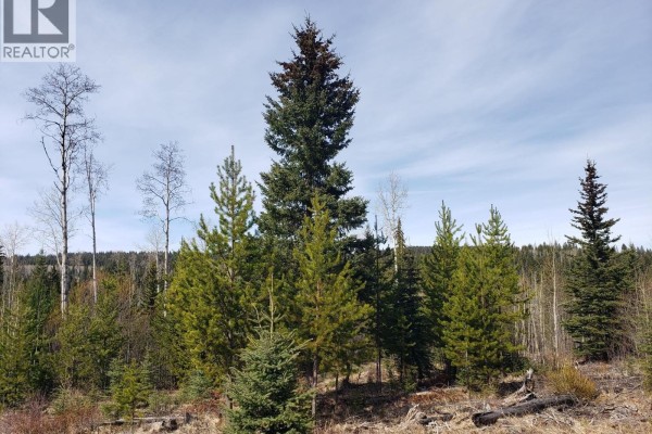7461 Gauthier Road, Deka Lake / Sulphurous / Hathaway Lakes, BC V0K1X3 Photo 4