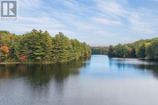 View of a calm lake surrounded by tall green pine trees and colorful autumn foliage. - 75 Dora Creek Lane, Seguin