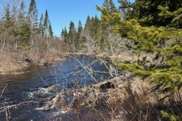 75 Pomeroy Ridge Road, Pomeroy Ridge, NB, photo 2