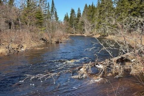 75 Pomeroy Ridge Road, Pomeroy Ridge, NB, photo 3