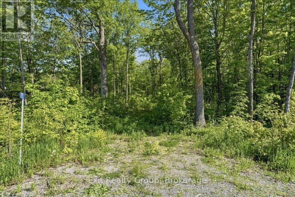 75 Spry Road, Stirling Rawdon, ON, photo 3