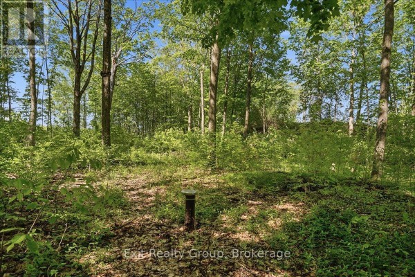 75 Spry Road, Stirling Rawdon, ON K0K3E0 Photo 4