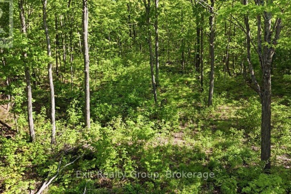 75 Spry Road, Stirling Rawdon, ON K0K3E0 Photo 5