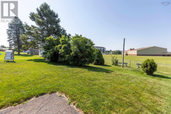 View of a grassy backyard with trees, benches, and a large building in the distance. - 75 Willow Street, Amherst