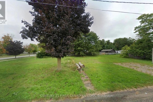 Empty lot with green grass, a mature tree, and a few logs on the ground. - 750 Havelock Street N, Huron Kinloss