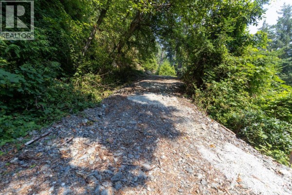View of paved road and gravel driveway with fire hydrant and surrounding greenery. - 750 Taylor Road, Bowen Island