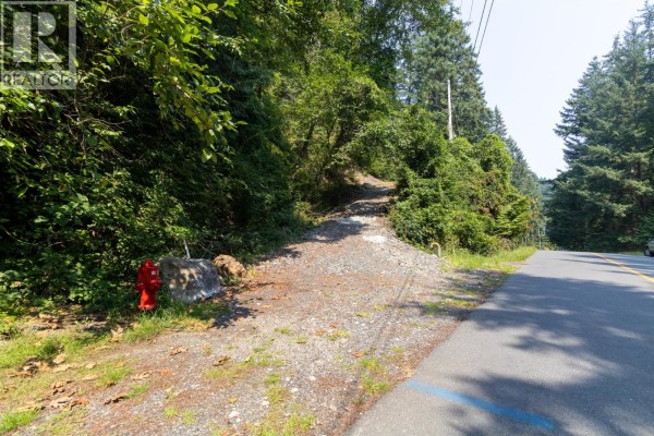 Shaded, gravel pathway disappearing into a tunnel of green trees and foliage. - 750 Taylor Road, Bowen Island