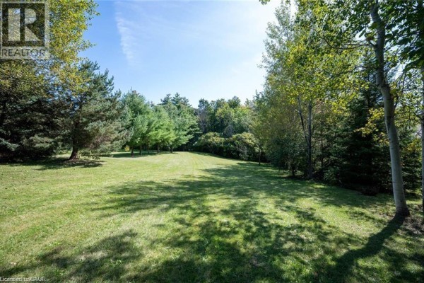 A wide grassy area with tall green trees and scattered pine trees under a clear blue sky. - 7537 Wellington Rd 36, Puslinch