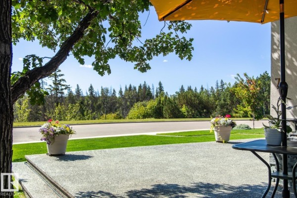 View from a paved patio with an umbrella and trees providing shade. - 7548 110 Av Nw, Edmonton