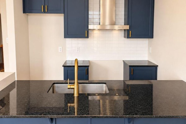 Kitchen counter with a dark granite countertop, stainless steel sink, and gold faucet. - 755 Haflinger Row, Ottawa