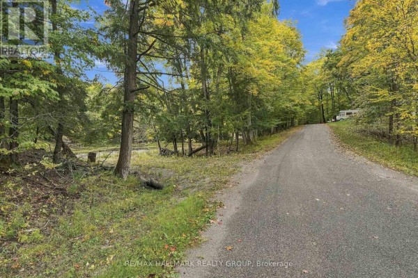 View of a paved road leading through a forest with scattered trees and grass. - 755 Indian Lake Road N, Rideau Lakes
