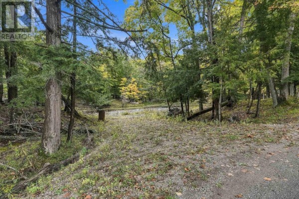 View of a cleared area with gravel and dried grass surrounded by trees. - 755 Indian Lake Road N, Rideau Lakes