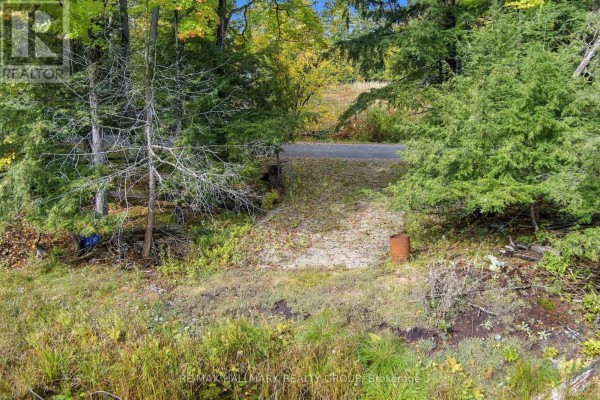 View of a rustic path leading into a dense forest with fallen leaves on the ground. - 755 Indian Lake Road N, Rideau Lakes