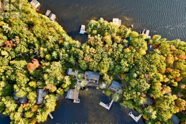 76 Birch Island, Bracebridge), ON P1L1W8 Photo 5