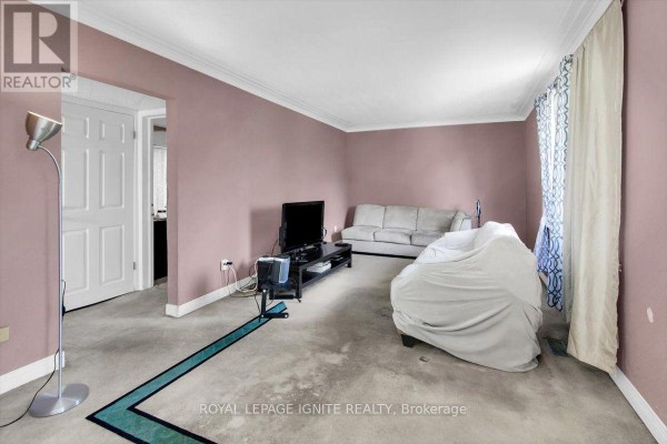 Living room with dusty rose walls, plush carpet, a white couch covered in plastic, and a television. - 76 Celeste Drive, Toronto