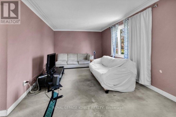 Living room with pink walls, carpet flooring, a covered couch, and a window with blue patterned curtains. - 76 Celeste Drive, Toronto
