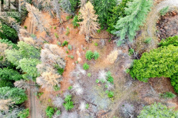 766 Drakes Road, Rossland, BC, photo 2