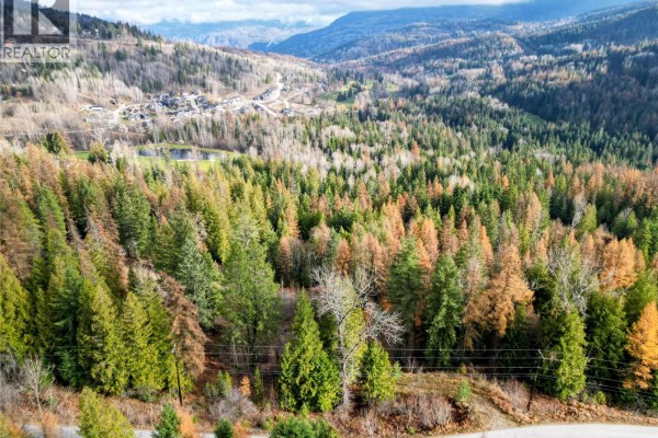 766 Drakes Road, Rossland, BC, photo 3