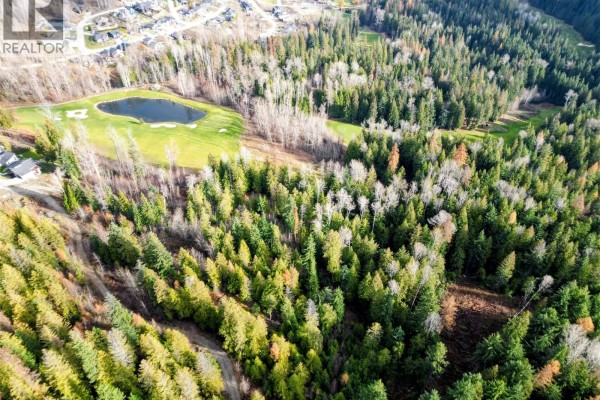 766 Drakes Road, Rossland, BC V0G1Y0 Photo 4