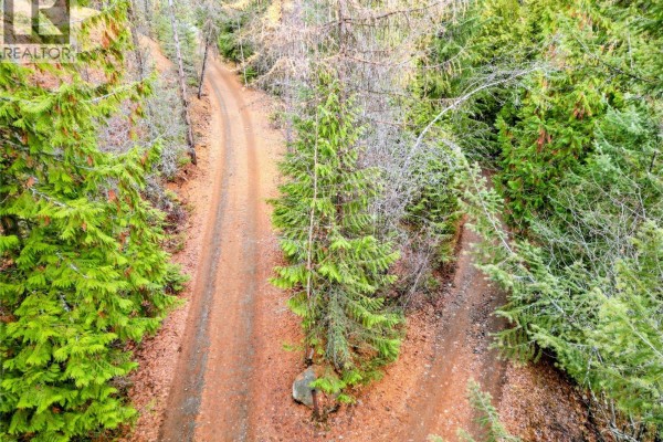 766 Drakes Road, Rossland, BC V0G1Y0 Photo 5