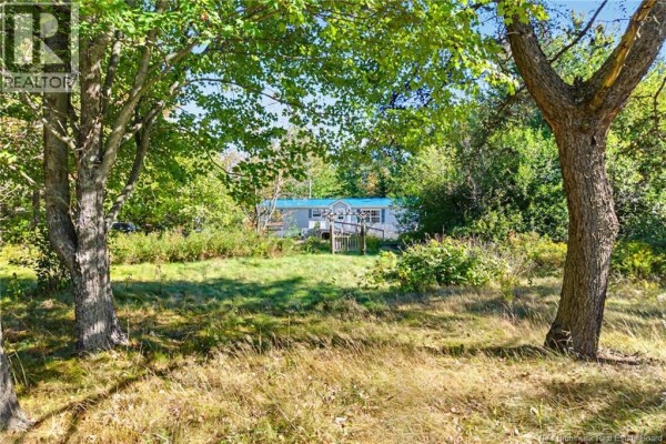 3pc Bathroom - 7689 Route 10, Coal Creek, NB E4A2S4 Photo 3