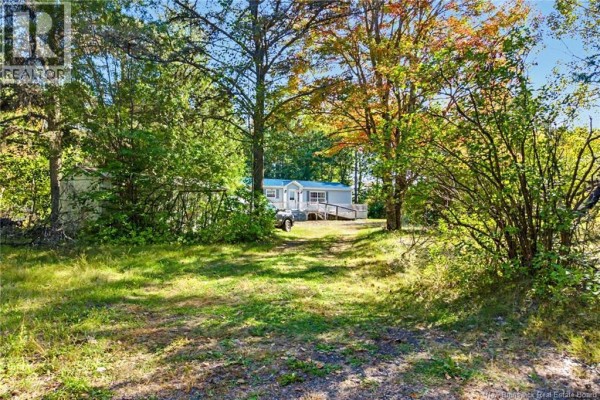 Kitchen - 7689 Route 10, Coal Creek, NB E4A2S4 Photo 4