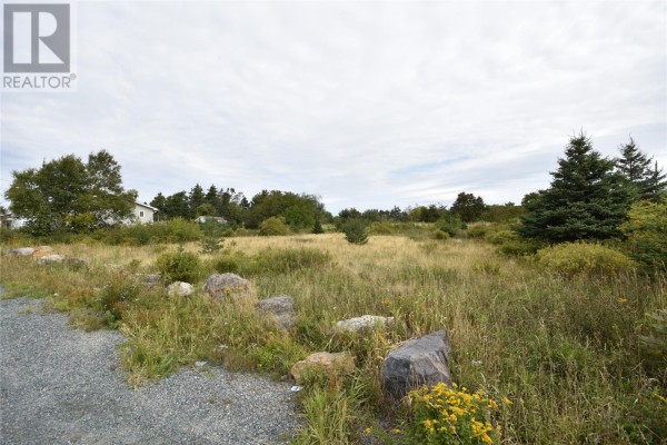 77-79 Anchorage Road, Conception Bay South, NL A1W4W5 Photo 4