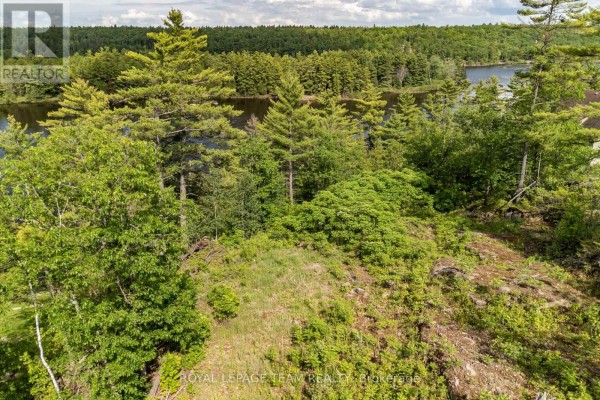 View from the land of a rocky hill covered in green foliage, overlooking a wide river and forest. - 77 Carriage Landing Drive, Horton