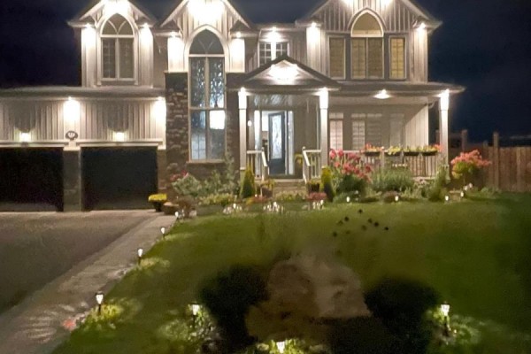 77 Collier Crescent, Essa, ON L0M1B5 Photo 4
