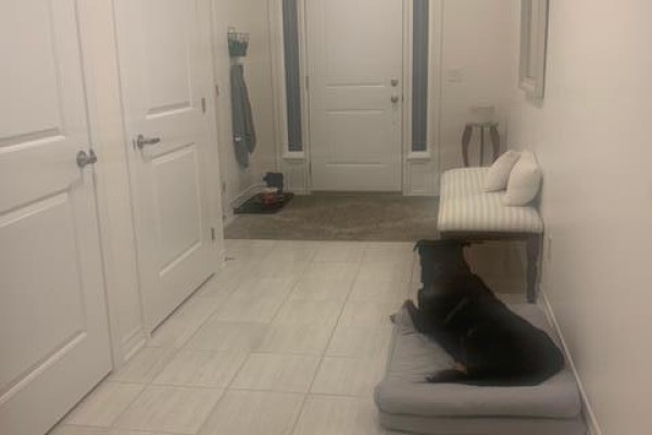 Entrance hallway with white doors, tiled floor, and a dog on a mat near the front door. - 77 Diana Avenue Unit# 158, Brantford