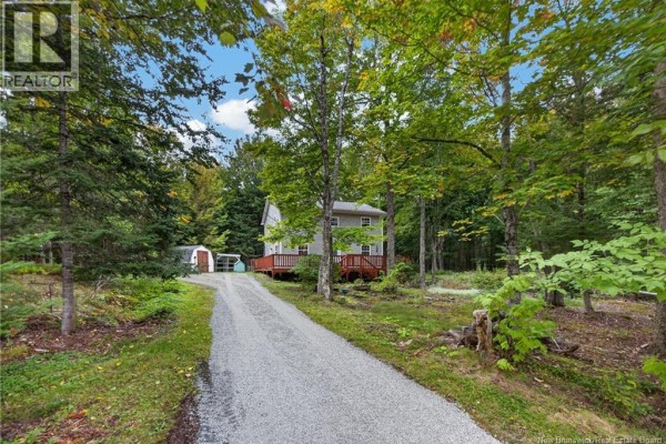 Recreation room - 77 Highfield Drive, Douglas, NB E3G7R1 Photo 2
