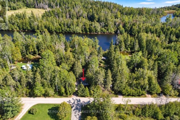 77 Mcguire Beach Road, Kawartha Lakes, ON, photo 3
