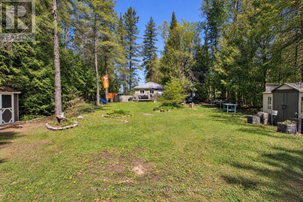 77 Mcguire Beach Road, Kawartha Lakes, ON K0M2B0 Photo 5